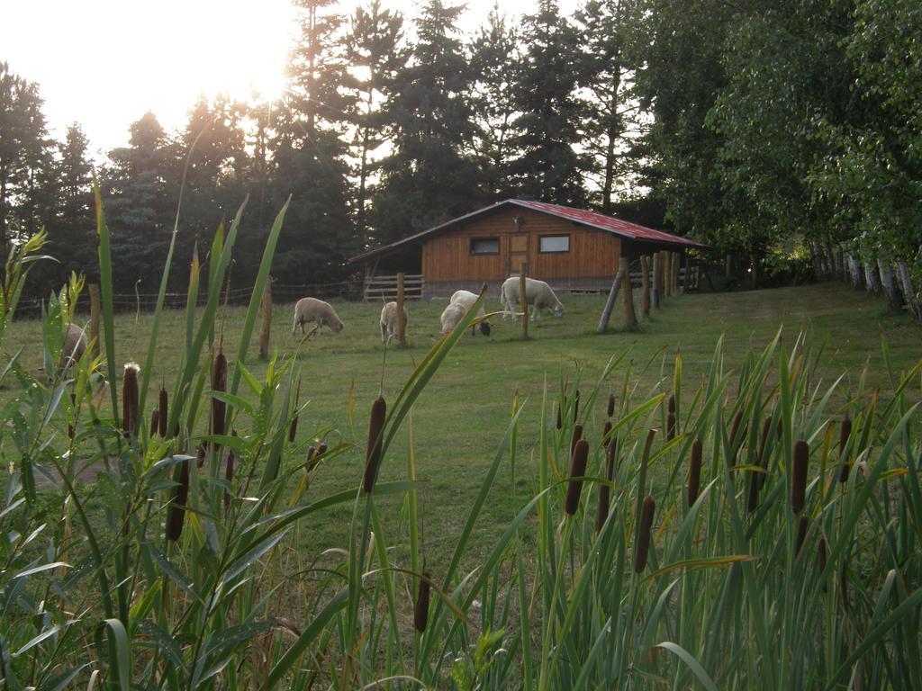 Penzion U Petra Jesenik Exterior photo